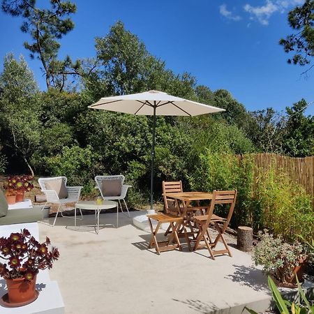 Quinta Do Alento Bed & Breakfast Sesimbra Exterior foto