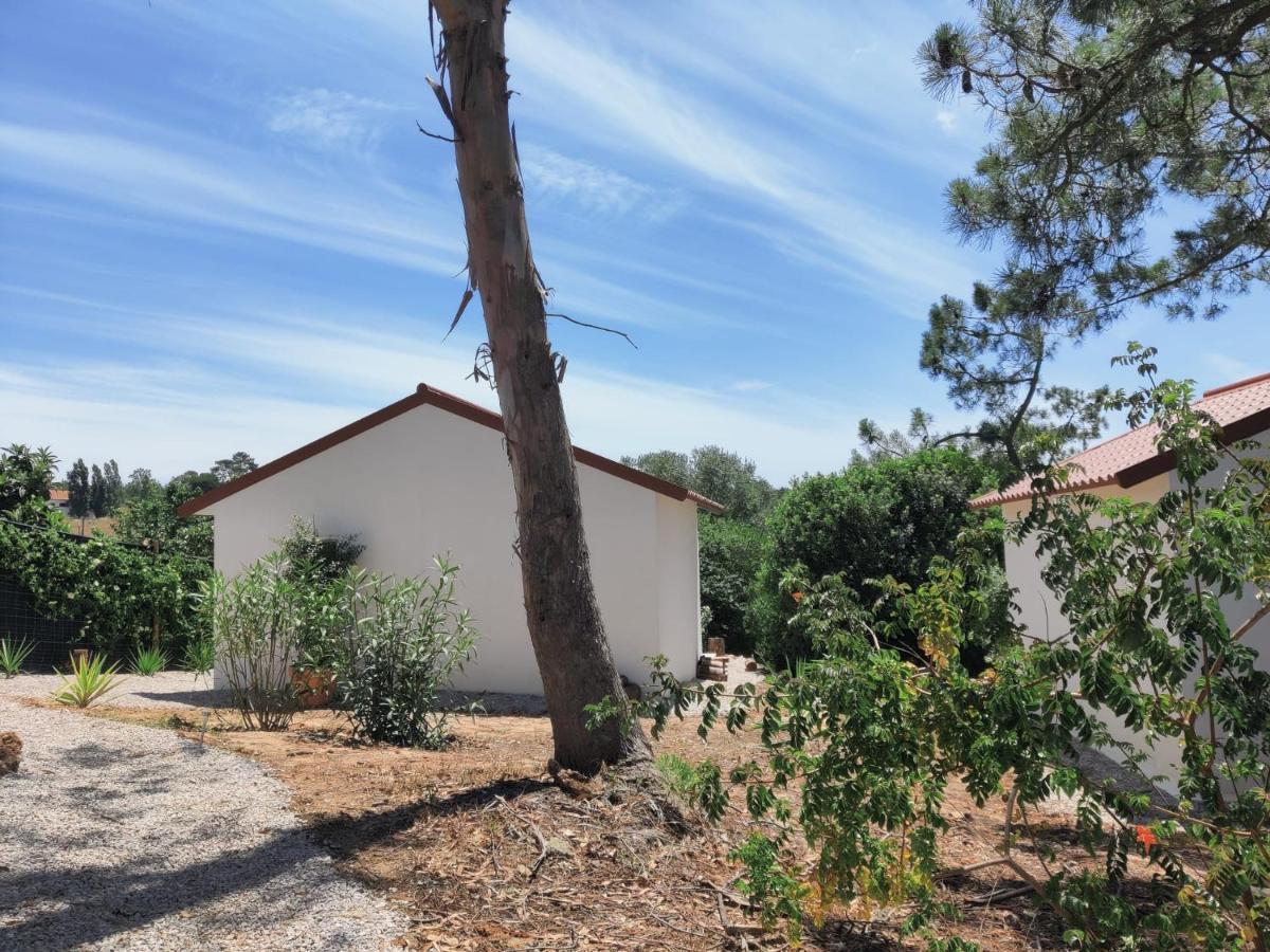 Quinta Do Alento Bed & Breakfast Sesimbra Exterior foto