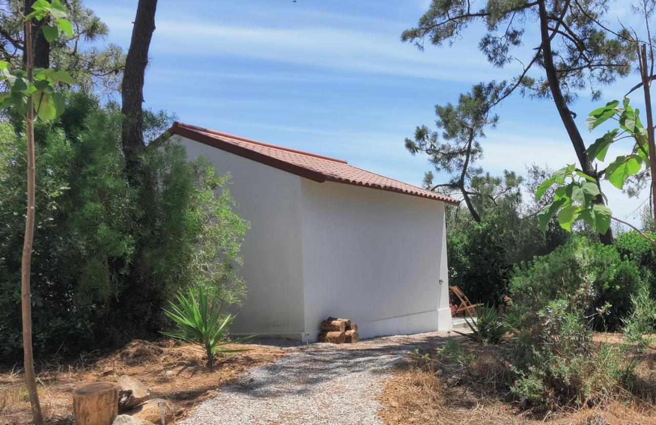 Quinta Do Alento Bed & Breakfast Sesimbra Exterior foto